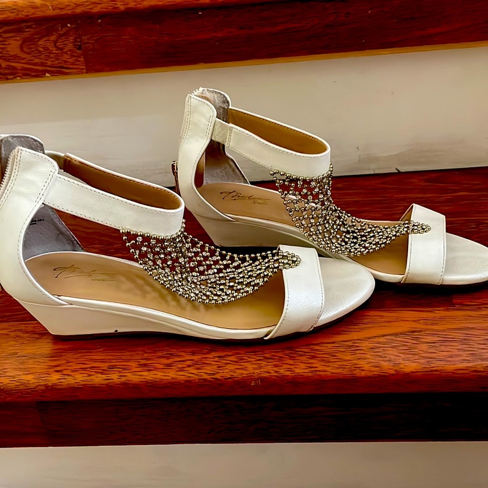 Thaila sodi back zipper shoe